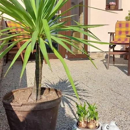 U Lípy Apartamento