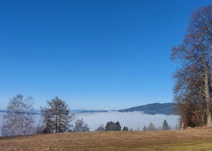 U Lípy Hermankovice